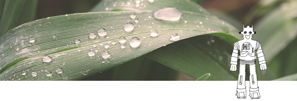 Loción para el cabello