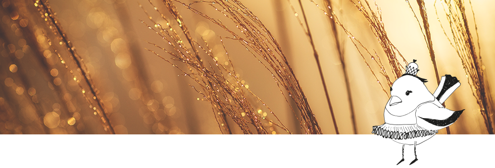 Aceite para el cabello