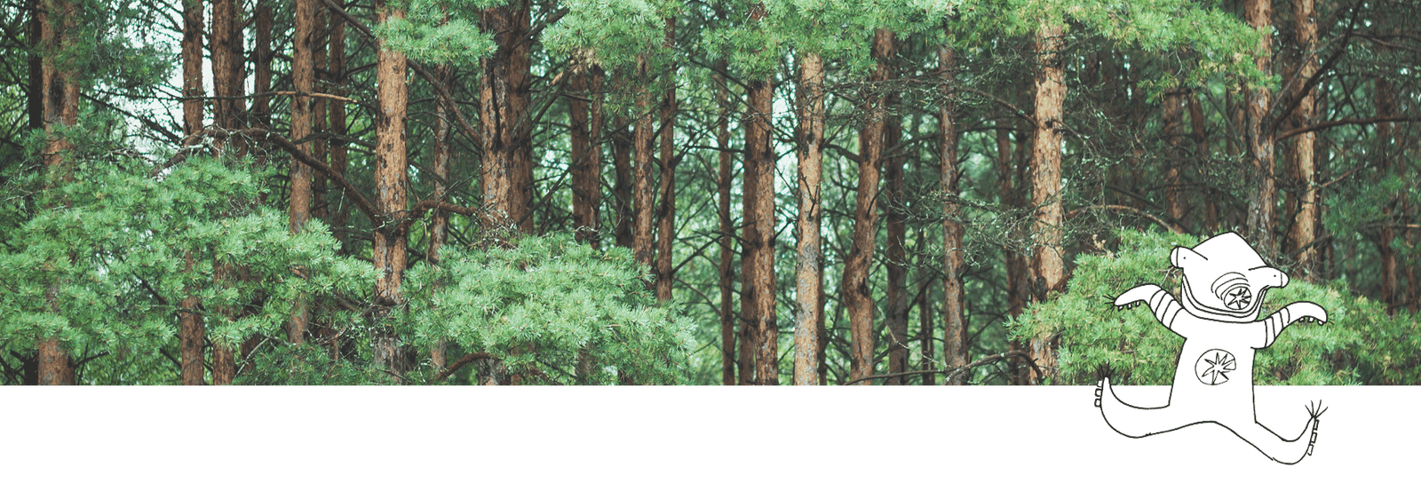 Cabello sano y natural