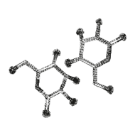 //worldes.davines.com/cdn/shop/t/12/assets/davines-line-naturaltech-deco-3.png?v=48525519344944069281640074298