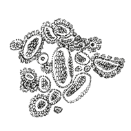 //worldes.davines.com/cdn/shop/t/12/assets/davines-line-naturaltech-deco-4.png?v=171189248533084119171640074287