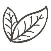 //worldes.davines.com/cdn/shop/t/12/assets/davines-line-single-shampoo-deco-1.png?v=183516140813493506251640074317