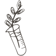 //worldes.davines.com/cdn/shop/t/12/assets/davines-line-single-shampoo-deco-3.png?v=134859518317833459071640074307