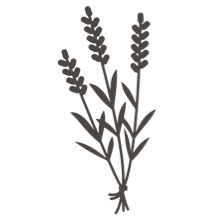 //worldes.davines.com/cdn/shop/t/12/assets/davines-line-single-shampoo-deco-4.png?v=10996012474181549121640074310